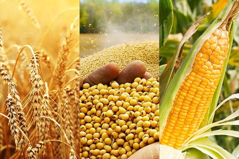 Agro-Commodities-1