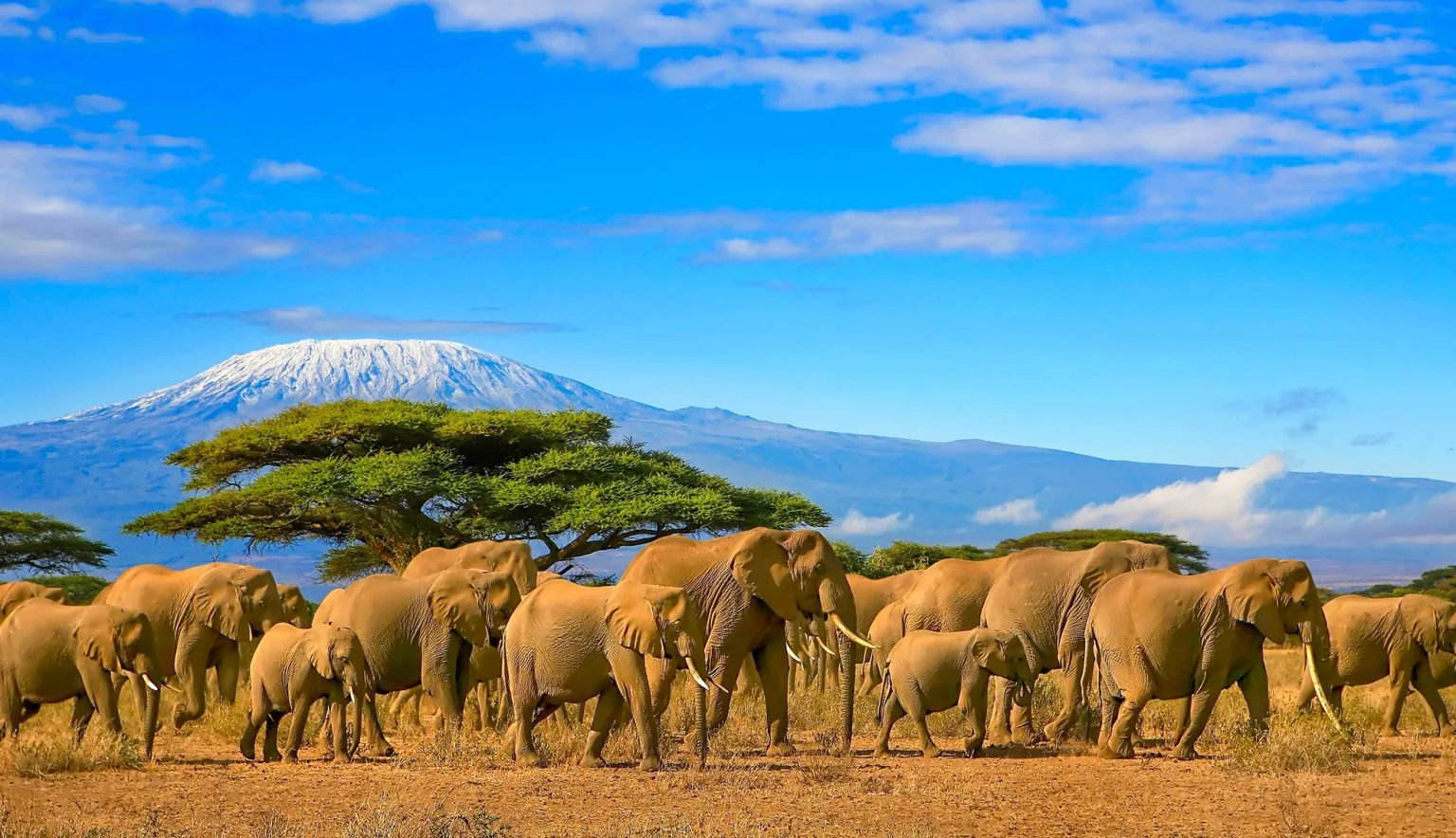 tanzania-1-1582298839.profileImage.2x-1536×884